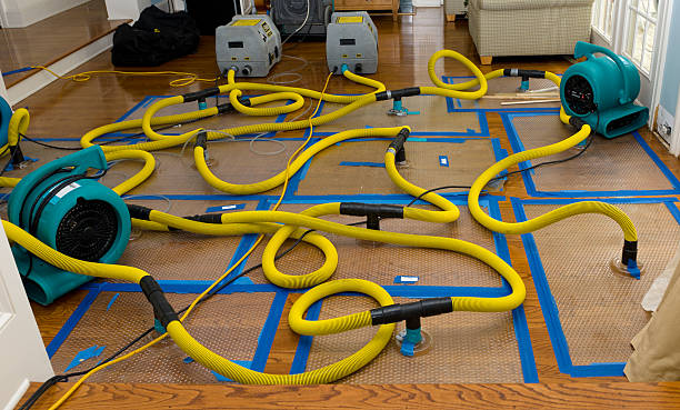 Professional Flood Damage Restoration technician working in Mayville, ND